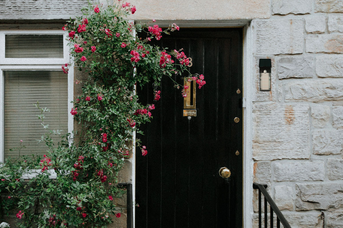 NexSun 2 in 1 | 1000 Lumens | Solar Wall light with Detachable Light